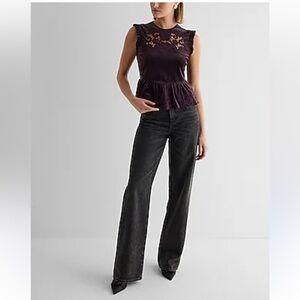 Express Velvet Crew Neck Lace Embroidered Peplum Top Size L Merlot